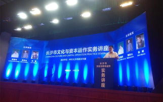 專家論道長沙 文化資本融合，借力新三板與互聯網共舞